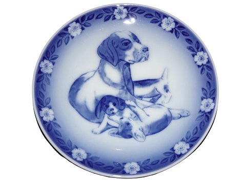 Bestellnummer: 482033