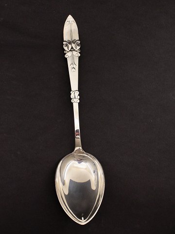 item no: 482180