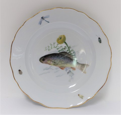 Meissen. Porcelæn. Fisketallerken. Diameter 25 cm