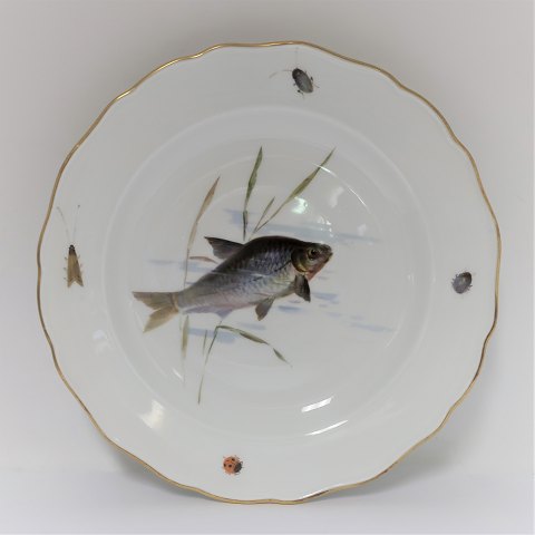 Meissen. Porcelæn. Fisketallerken. Diameter 25 cm