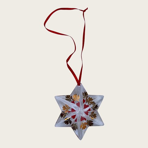 Golden Christmas
Christmas star of the year
2000
*100 DKK