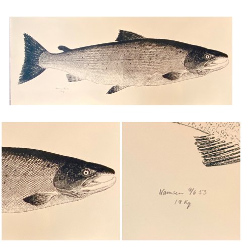 Bestellnummer: Fisk1
