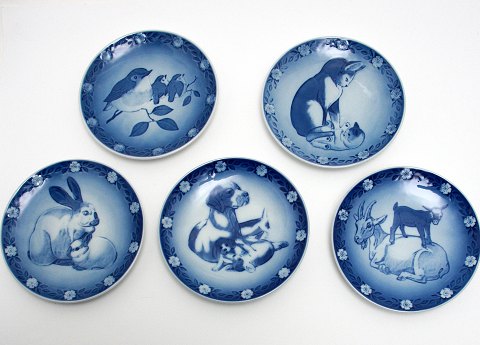 item no: 528036