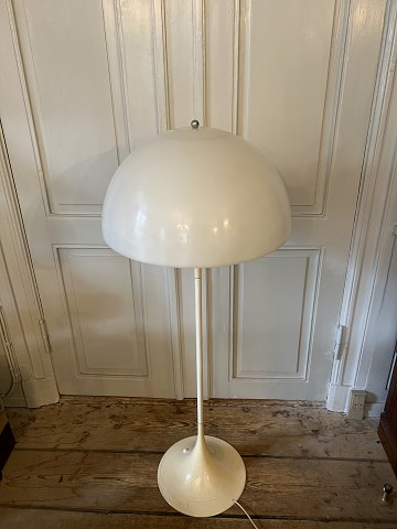 vare nr: 50645