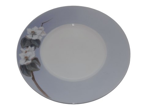 Bestellnummer: 530075