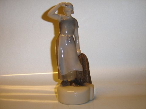 item no: 53508