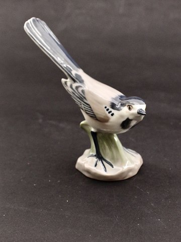 item no: 540602