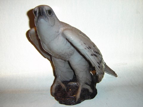 item no: 54325
