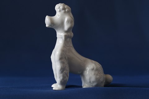 Hvid porcelænsfigur af kongepuddel, siddende. Flot og velholdt stand, et smukt 
samlerobjekt.