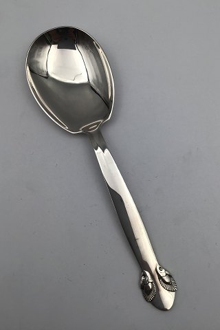 item no: 
550292