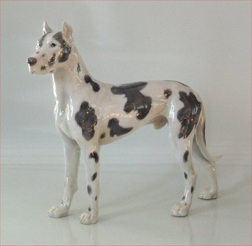 vare nr: 
55040