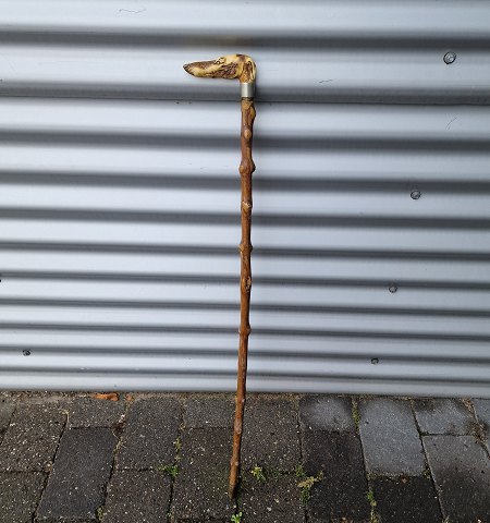 Bestellnummer: 557902