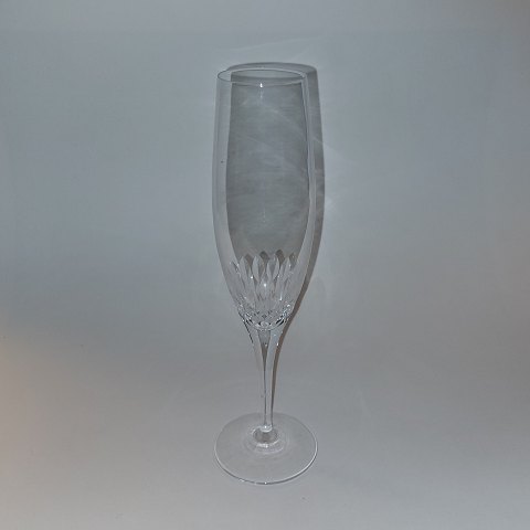 Prelude champagne glass from Orrefors
