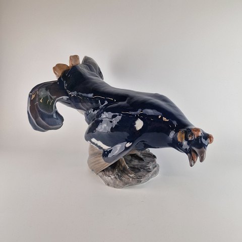 item no: 562037