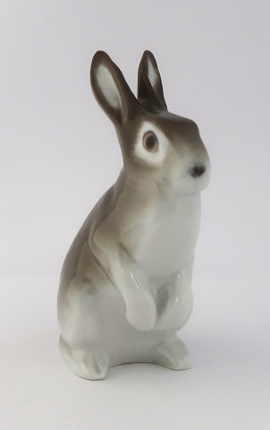 Bing & Gröndahl. Porcelain figure. Standing rabbit. Model 4529. Height 13 cm. (1 
quality)