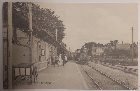 Postkort: Tog ved Fruens Bøge, Odense i 1908