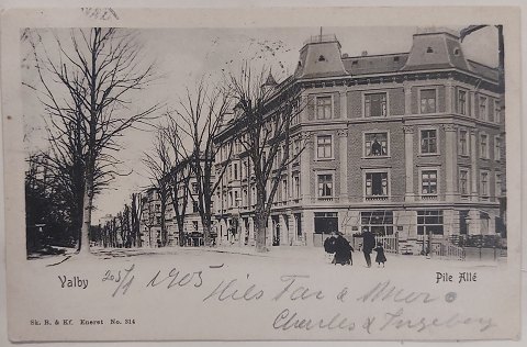 Postkort:.Motiv fra Pile Alle Valby/Frederiksberg i 1905