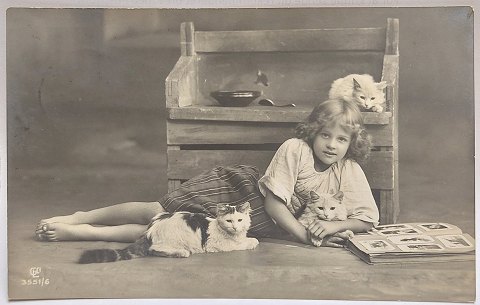 Postkort: Pige med tre katte og postkortalbum i 1913
