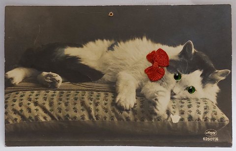 Postkort: Portræt af.kat med glasøjne i 1925