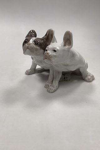 Royal Copenhagen Figurine of Pair of French Bull Dogs No 1452 / 957 Knud Kyhn