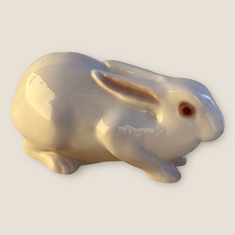 Bing & Grondahl
Rabbit
#2441
*DKK 250