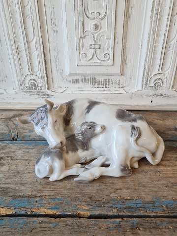 Royal Copenhagen figure - cow with calf no. 800