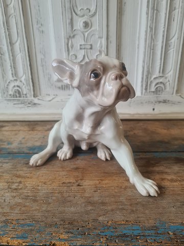 B&G Figur - Fransk Bulldog no. 2000