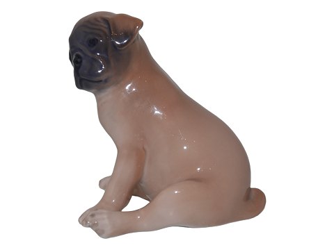 Royal Copenhagen dog figurine
Pug puppy