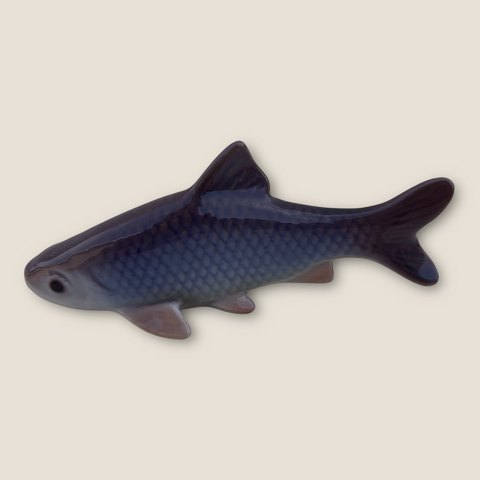 item no: 599257