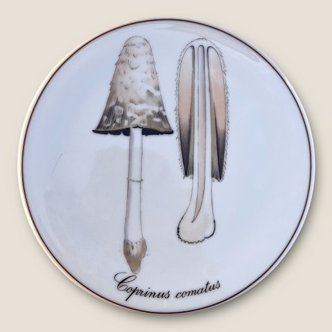 item no: 599493