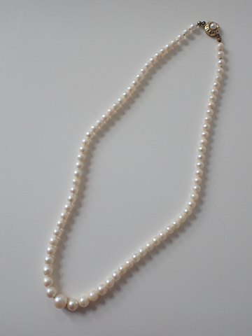item no: 607111