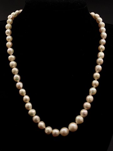 item no: 607649