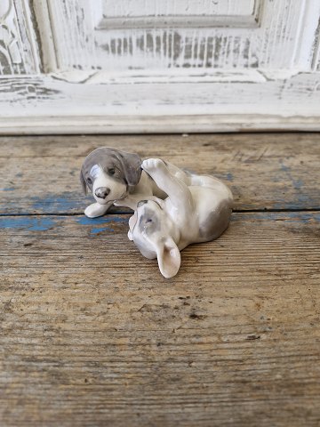 item no: 611438