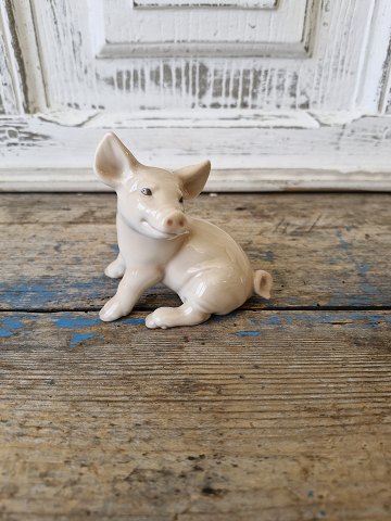 item no: 611446