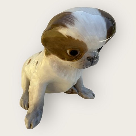 item no: 612429