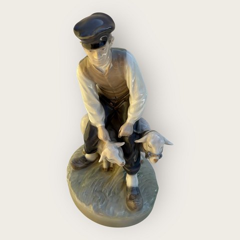 item no: 612430
