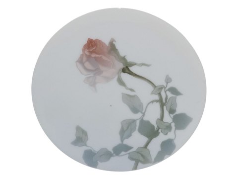 item no: 613351