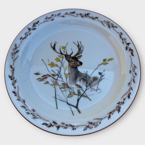 item no: 613892