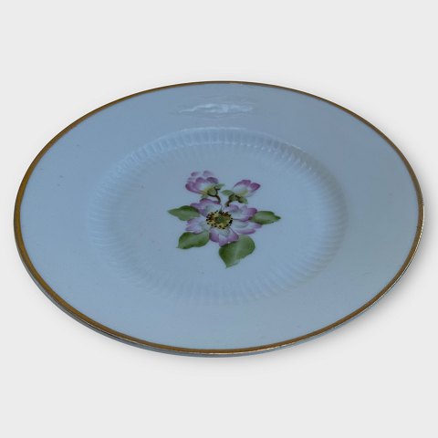 item no: 615916