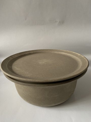 Bestellnummer: 620195