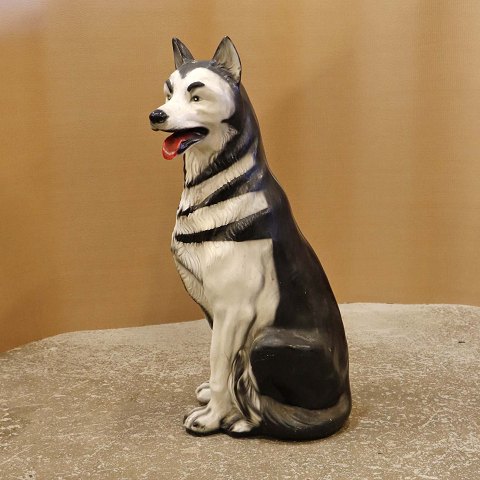 item no: 637373