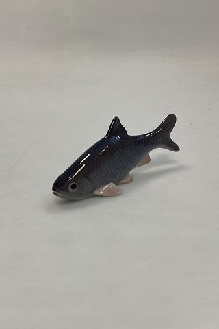 item no: 637424