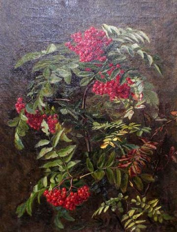 Bestellnummer: N384
