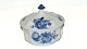 RC Blue Flower angular, Butter Canned
SOLD