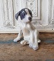 Royal Copenhagen figure - Pointer puppy no. 259