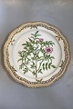 Royal Copenhagen Flora Danica Stort Gennembrudt Fad no. 384 eller 3529