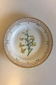 Royal Copenhagen Flora Danica Tallerken No 20/3549