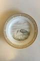 Flora Danica Bird Dinner Plate No 240/3549