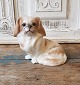Royal Copenhagen figure - Pekingese no. 1772
