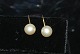 Earrings with pearl, 14 Karat Gold with Screws